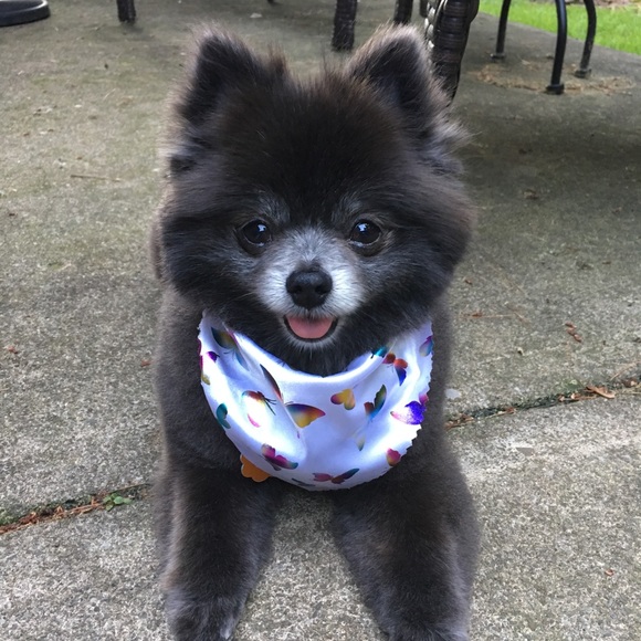 Welcome To My Closet - Picture 7 of 16